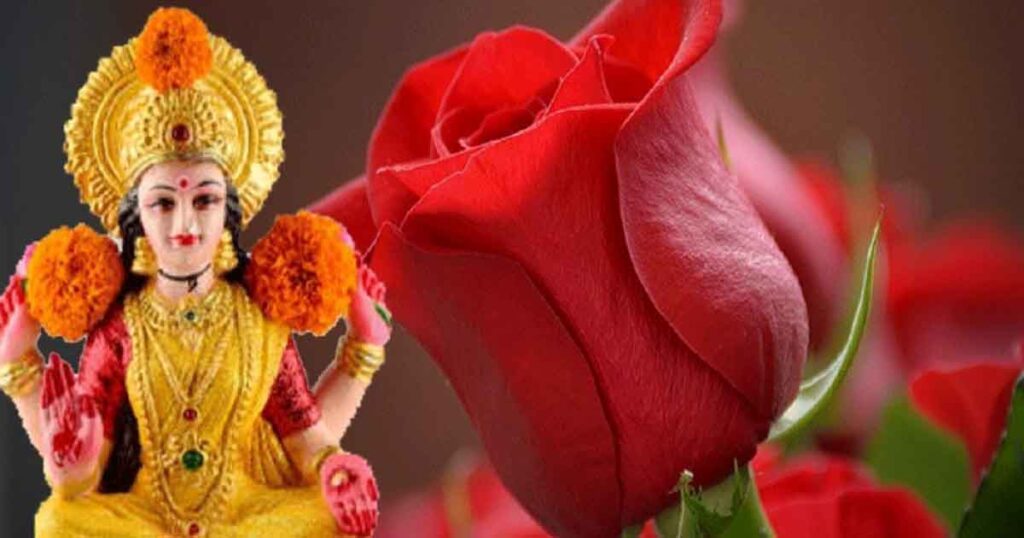 Gulab Phool Ke Upay: गुलाब के फूल के इन उपायों से होगी देवी लक्ष्मी की कृपा, आर्थिक परेशानियों से पाएंगे मुक्ति…