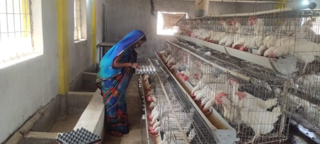 रायपुर : गौठानों में आजीविकामूलक गतिविधियों से जुड़ कर महिलाएं बढ़ रहीं हैं स्वावलम्बन की ओर…