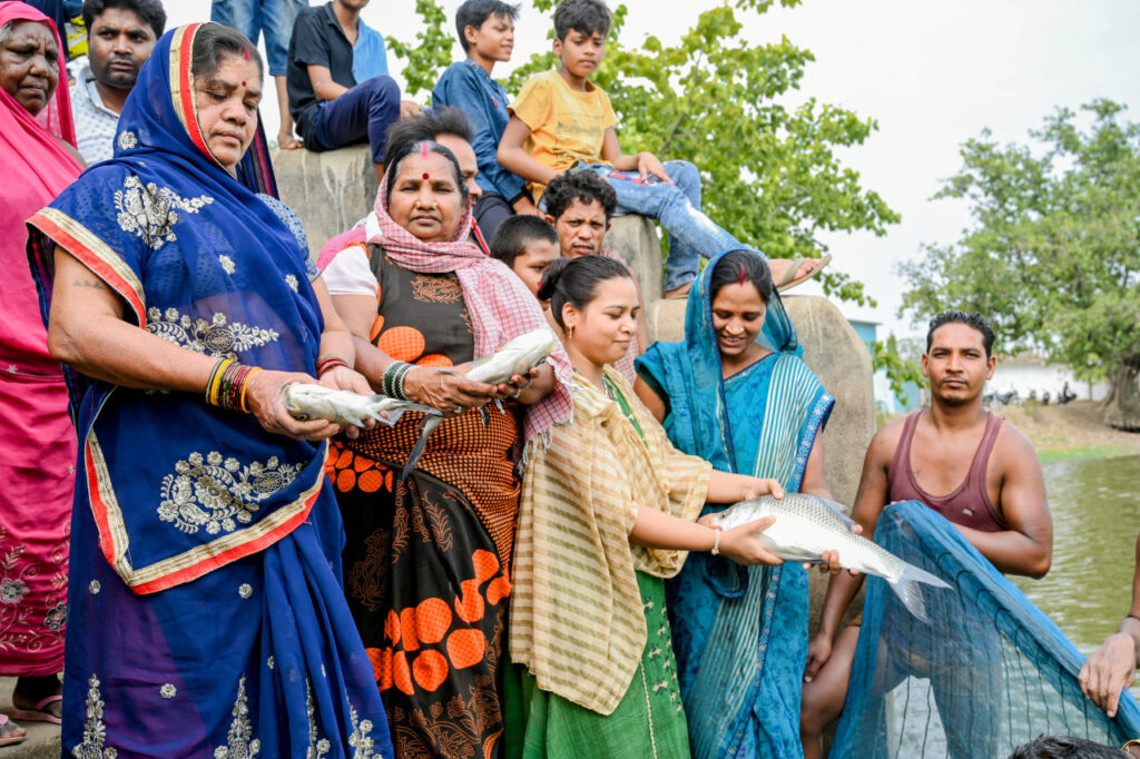 रायपुर : ग्रामीण अर्थव्यवस्था का मजबूत आधार बनी गौठान