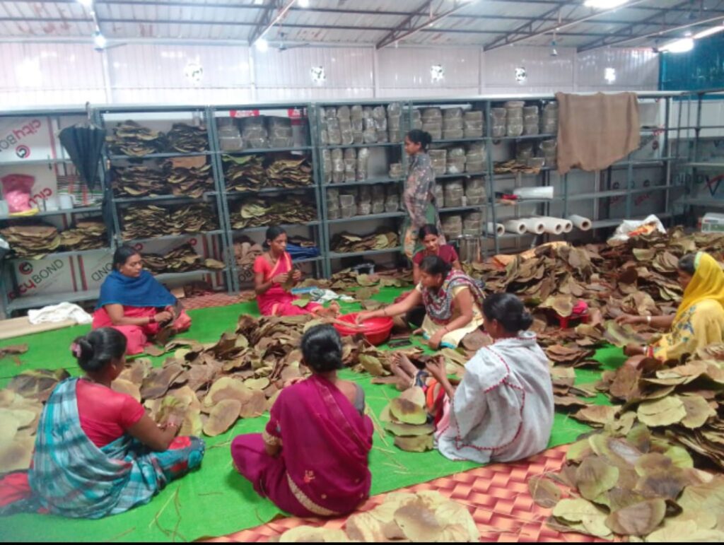 रायपुर : दोना-पत्तल निर्माण कर लक्ष्मी समूह की महिलाएं बन रहीं आत्मनिर्भर