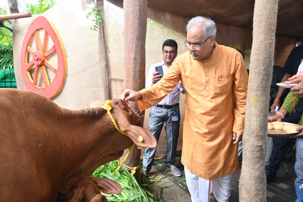 रायपुर : मुख्यमंत्री श्री भूपेश बघेल ने हरेली तिहार पर अत्याधुनिक तकनीक से मुख्यमंत्री निवास में जन्मी बछिया और साहीवाल प्रजाति की उसकी माँ की पूजा-अर्चना की…
