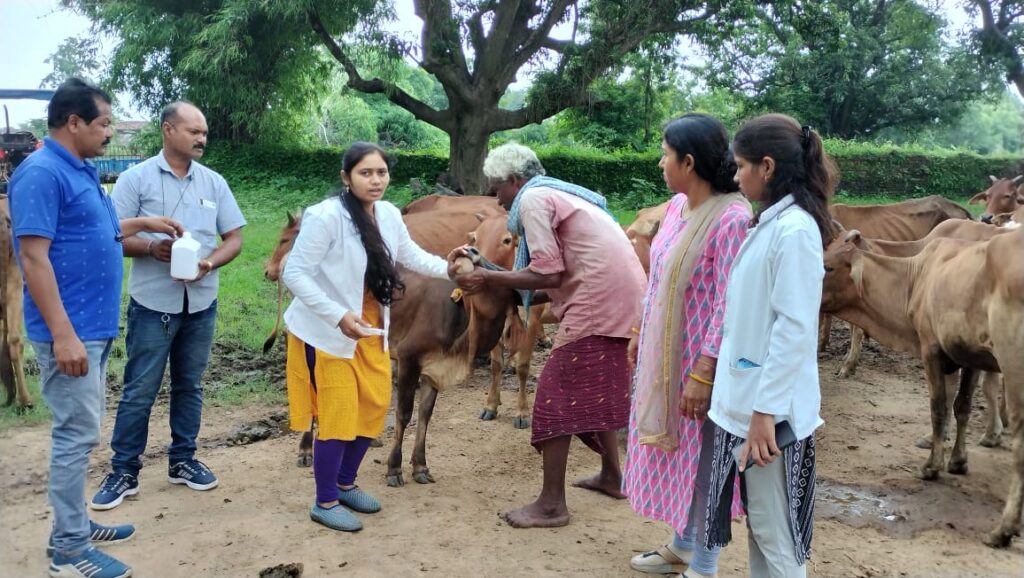 महासमुंद : मोबाइल पशु चिकित्सा इकाई द्वारा कुल 279 पशुओं का किया गया उपचार