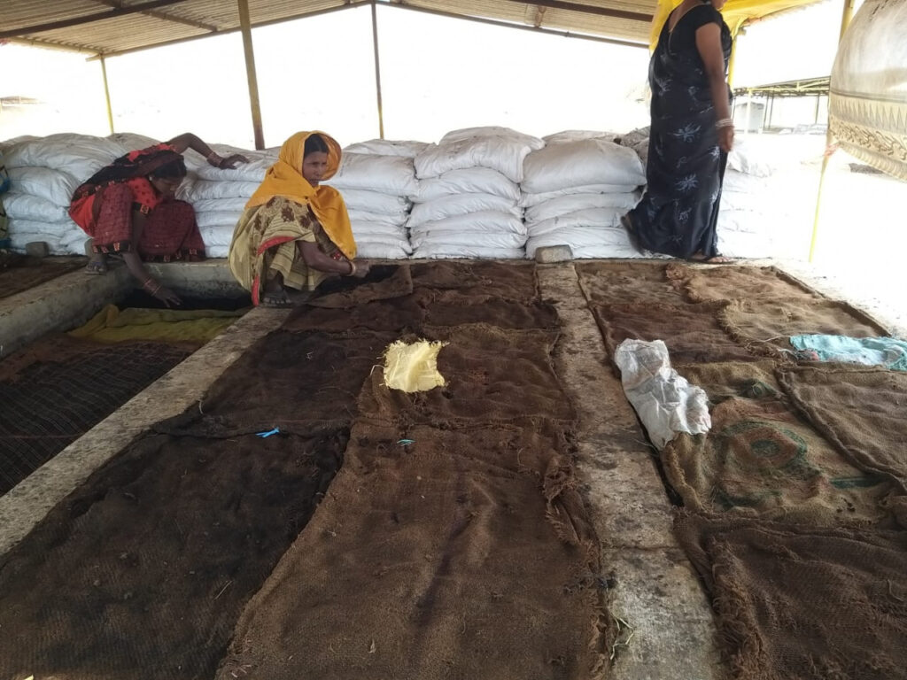 बेमेतरा : गोधन न्याय योजना से माता मावली मॉ स्व. सहायता समूह की महिलाओं को मिल रहा अतिरिक्त आय