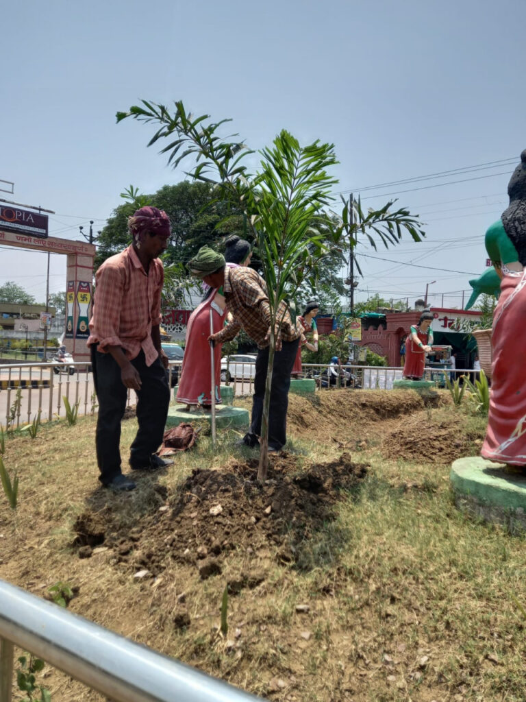 शहर को ग्रीन जोन बनाने दुर्ग से कुम्हारी तक लगाए गए बोगनविलिया, कनेर और चम्पा