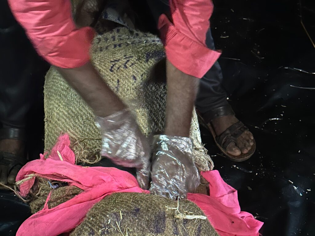 संपत्ति विवाद में बड़े भाई की हत्या: छोटे भाई​​​​​​ ने सोते समय कुल्हाड़ी से किया वार, बोरे में बांधकर कुएं में फेंकी लाश…