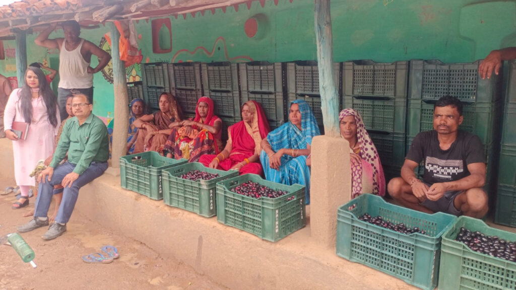 रायपुर : मौसमी फल जामुन के व्यवसाय से महिलाओं को मिल रहा है आर्थिक स्वावलंबन