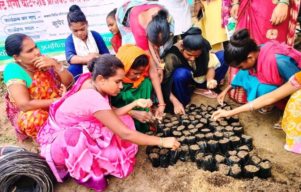 रायपुर : 1000 दीदियों की बाड़ी में मचान विधि से लगाई जा रही है सब्जी