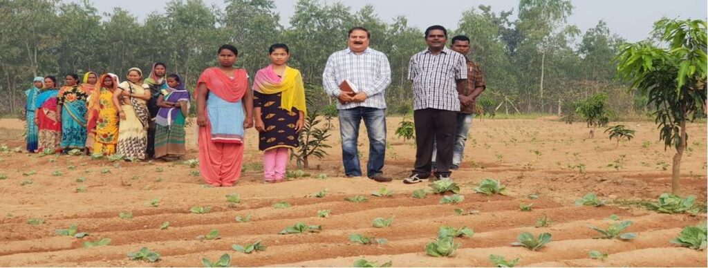 रायपुर : लेख : महिलाओं की आर्थिक समृद्धि की नई इबारत लिखता छत्तीसगढ़ वन विभाग