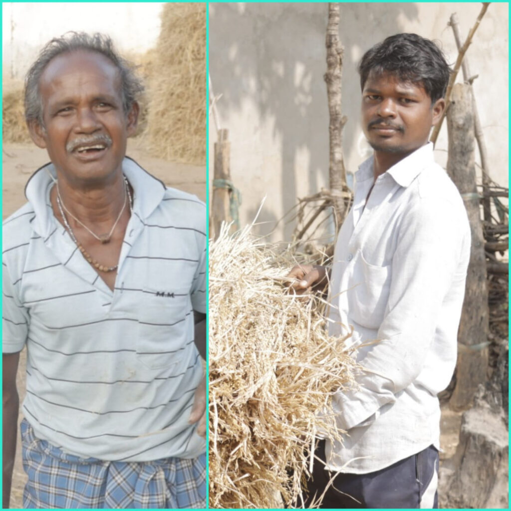 कोरबा : धान का जब मिलने लगा अच्छा दाम तो युवाओं को भी भाने लगा है खेती-किसानी का काम
