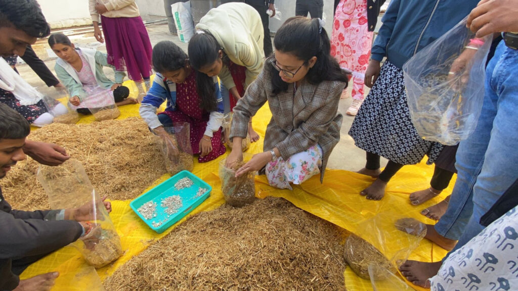 रायपुर : युवाओं को स्वरोजगार से जोड़ने में सहायक होगा मशरूम उत्पादन