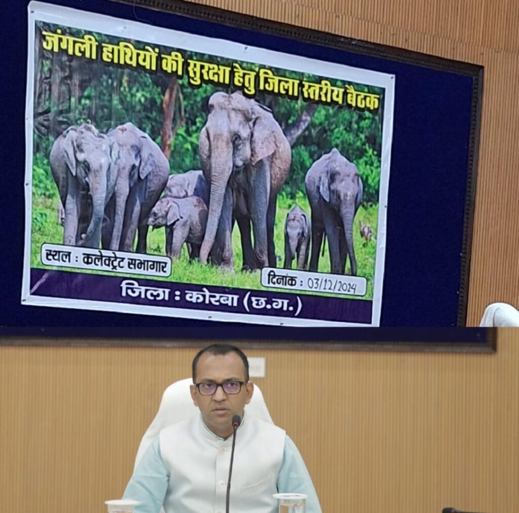 कलेक्टर ने ली मानव-हाथी द्वन्द रोकने हेतु गठित जिला स्तरीय समिति की बैठक