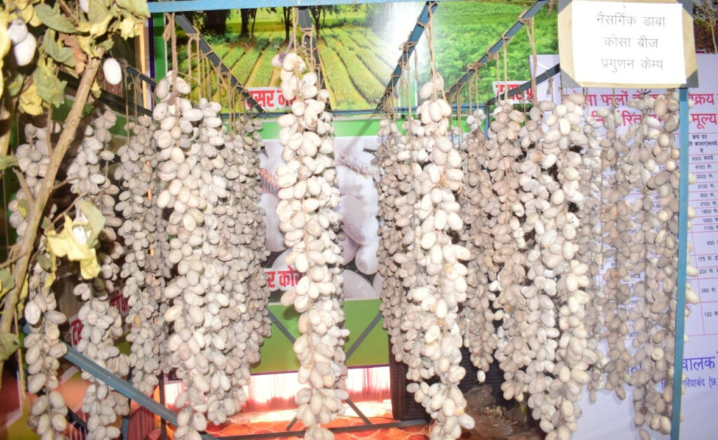 रायपुर : राजिम कुंभ मेला में कोसा की प्रदर्शनी आकर्षण का केन्द्र