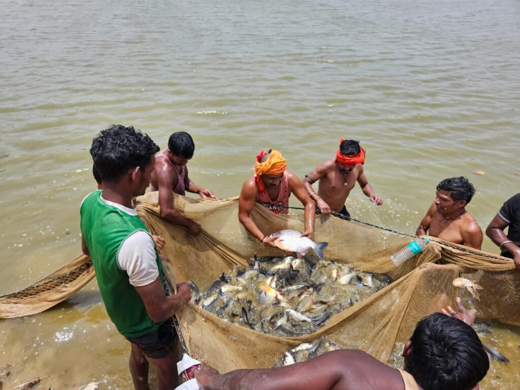 रायपुर : शासकीय योजनाओं से ग्रामीण अर्थव्यवस्था को मिल रही मजबूती