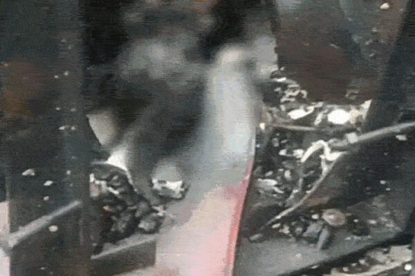 2 ट्रकों की टक्कर के बाद लगी आग: केबिन में फंसकर जिंदा जला ट्रक चालक,दूसरा चालक घायल