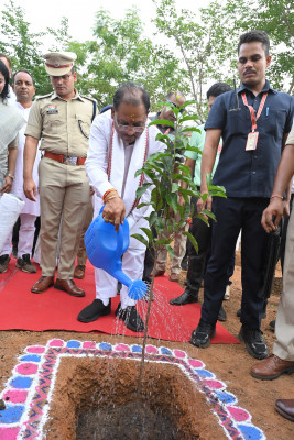 रायपुर : मुख्यमंत्री ने बालोद में लगाया आम का पौधा