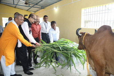 रायपुर : राज्यपाल श्री रमेन डेका ने गौशाला का किया लोकार्पण