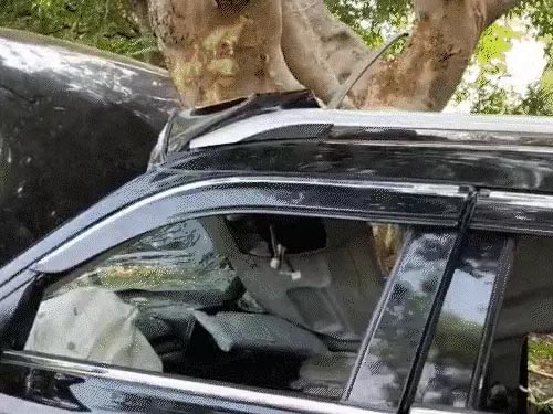 सड़क हादसे में बर्थडे पार्टी से लौट रहे 4 दोस्तों की मौत: नशे में धुत तेज रफ्तार कार चालक ने बाइक सवार 3 युवक और एक युवती को मारी टक्कर..कार चालक के खिलाफ अपराध दर्ज…