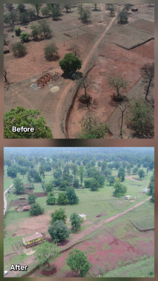 रायपुर : प्रधानमंत्री जनमन योजना से संवर रहा है, पहाड़ी कोरवा जनजातियों का भविष्य