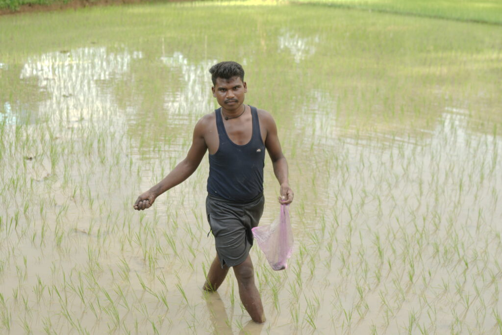 समय पर मिली खाद-बीज से युवा किसान बृजपाल की खेती हुई आसान…अच्छी फसल की आस से उन्नत किस्म की खाद का कर रहे छिड़काव..