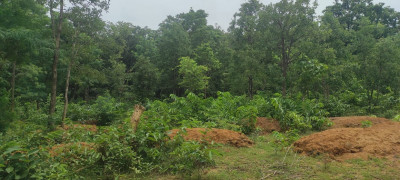 रायपुर : मनरेगा से प्राकृतिक संतुलन की ओर एक सशक्त पहल