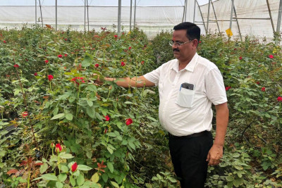 रायपुर : फूलों की खेती से एक साल में 10 लाख की कमाई