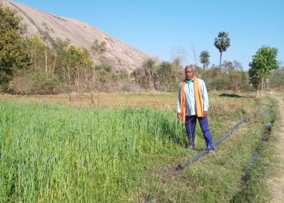 रायपुर : कृषक सुखसाय रबी और खरीफ फसल लेकर हो रहे लाभान्वित