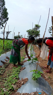 रायपुर : बस्तर में ‘बिहान’ से लखपति दीदी बनने की ओर अग्रसर महिलाएं