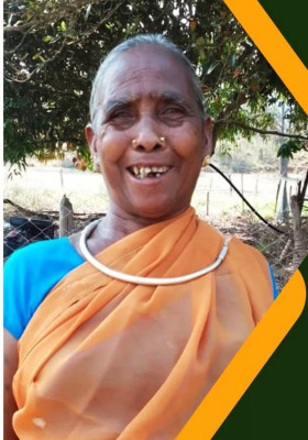 रायपुर : महतारी वंदन योजना ने खोले आत्मनिर्भरता के द्वार