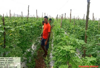 रायपुर : उद्यानिकी फसल से संतेर पोटाई हुए आर्थिक रूप से सशक्त