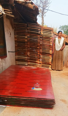 रायपुर : प्रधानमंत्री आवास योजना से महिलाओं को मिली रोजगार, आवास पूर्णता में निभा रहीं हैं अपनी महत्वपूर्ण भूमिका