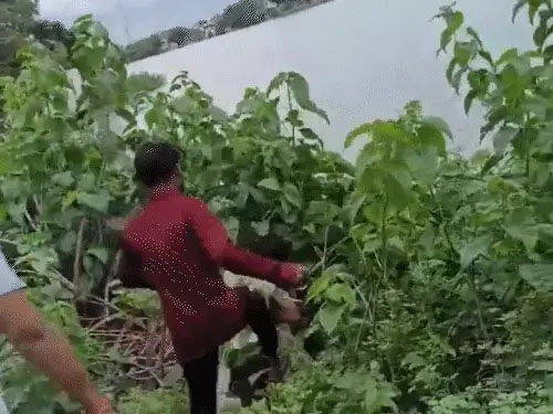 बाइक से मामूली टक्कर पर दबंगों ने एक युवक की लात-घूंसे से बेरहमी से की पिटाई…झाड़ियों में धकेला…सोशल मीडिया पर वायरल हो रहा वीडियो…पुलिस ने तीनों आरोपियों को गिरफ्तार कर उनका निकाला जुलूस…