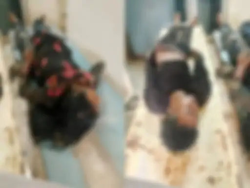 माइल स्टोन से टकराई तेज रफ्तार बाइक…युवक-युवती 50 फीट दूर खेत में जा गिरे..दोनों की मौके पर मौत…