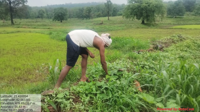 रायपुर : अचानकपुर में कृषि और इको-पर्यटन का अनोखा संगम