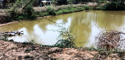 रायपुर : मनरेगा की डबरी से खेतों में हरियाली… चेहरे पर मुस्कान