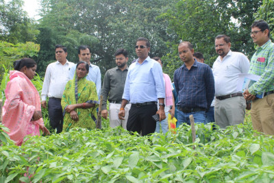 रायपुर : जैविक खेती से आत्मनिर्भरता की ओर महिला किसान गोपिका प्रधान