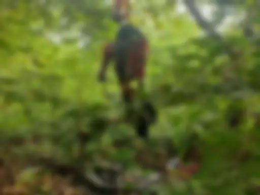 दोनों लापता युवक-नाबालिग लड़की ने जंगल में लगाई फांसी..आत्महत्या से पहले बनाई रील…मामले की जांच कर रही पुलिस..