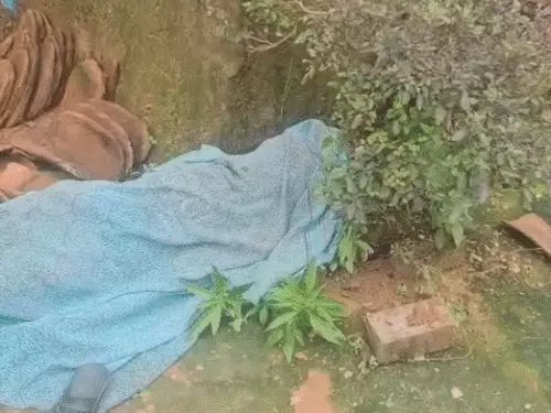 मां के कैरेक्टर पर शक को लेकर हुए विवाद में नाबालिग बेटे ने पिता की कर दी हत्या…नशे में कर रहा था झगड़ा…