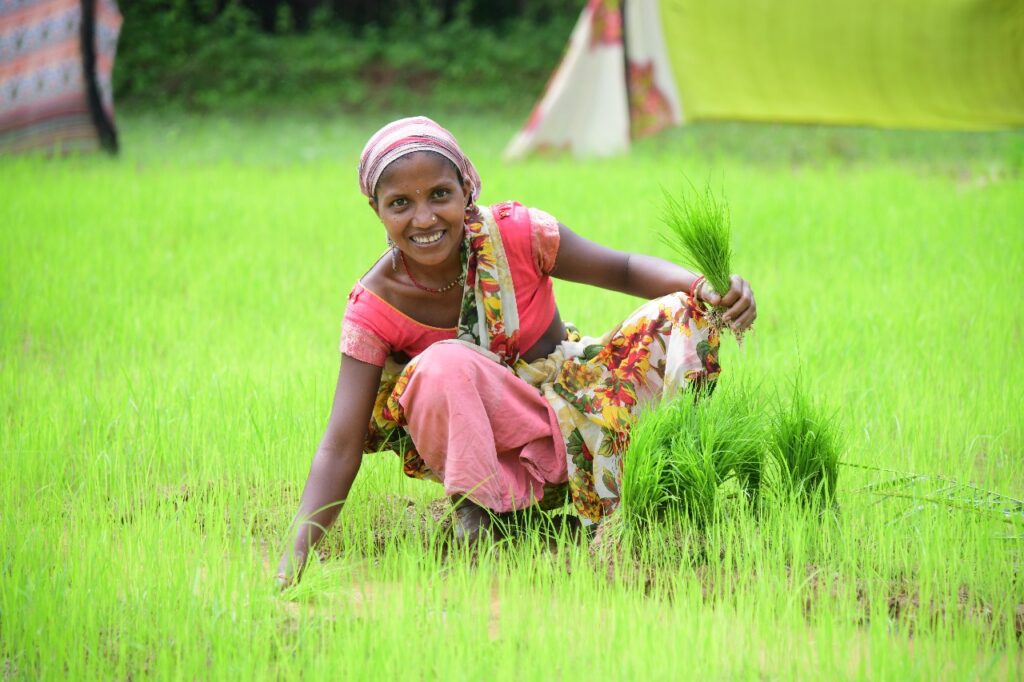 बालको की पहल से कृषि में आया बदलाव, पैदावार में वृद्धि और लागत में कमी