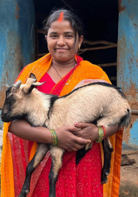 रायपुर : आत्मनिर्भरता की मिसाल : बकरी पालन से सविता रजक बनीं ग्रामीण महिलाओं की प्रेरणा