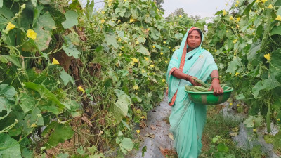 रायपुर : दानवती आर्माे बनीं लखपति दीदी, महिलाओं को दे रहीं रोजगार..