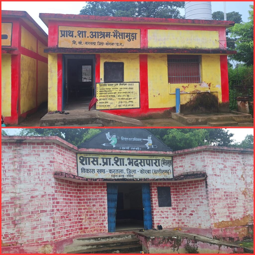 एकल शिक्षकीय विद्यालय भैंसामुड़ा में नियुक्त हुई शिक्षिका…युक्ति युक्तकरण से अध्यापन व्यवस्था हुई बेहतर