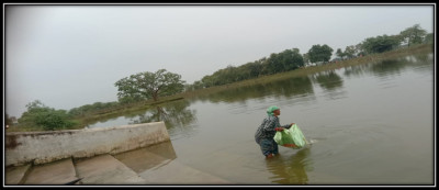 रायपुर : अमृत सरोवर से मिल रही आर्थिक उन्नति, करीब 650 महिलाओं को मिला रोजगार