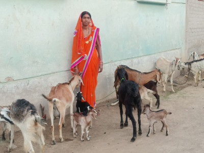 रायपुर : महतारी वंदन योजना से बदली ज़िंदगी श्यामा बनी आत्मनिर्भरता की पहचान
