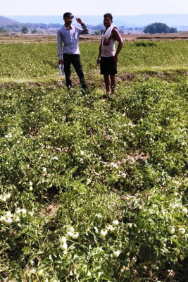 रायपुर : उन्नत विधि का लाभ मिल रहा किसानों को