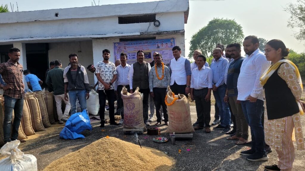 पूजा-अर्चना के साथ पाली में धान उपार्जन कार्य का शुभारंभ, किसानों में खुशी की लहर