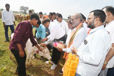 रायपुर : भागूटोला में घुमंतू पशुओं की सेवा, सुरक्षा और संरक्षण की मिसाल