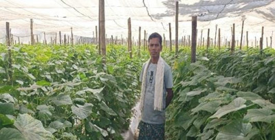 रायपुर : बंदूक की गूंज से फलों और फूलों की महक तक का सफर