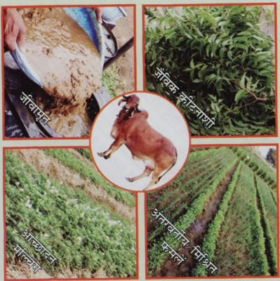 रायपुर : कृषि विश्वविद्यालय में प्राकृतिक खेती पर राष्ट्रीय संगोष्ठी कल