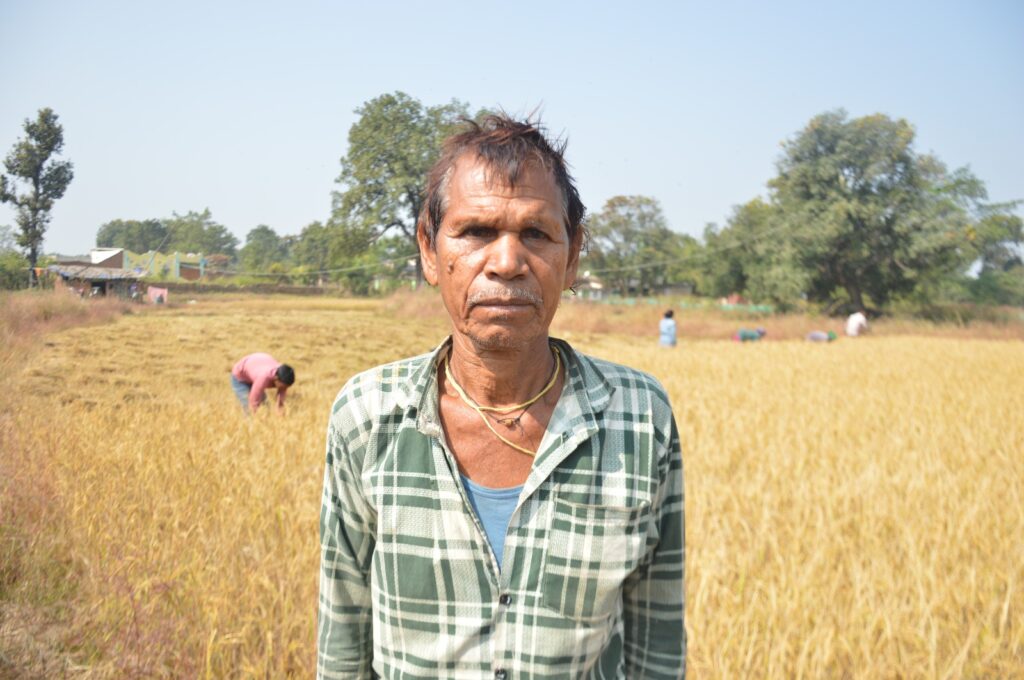 समर्थन मूल्य 3100 रुपये प्रति किं्वटल से बढ़ा किसानों का उत्साह