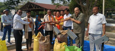 रायपुर : बलौदाबाजार जिले में समर्थन मूल्य में धान खरीदी की हुईं शुरुआत